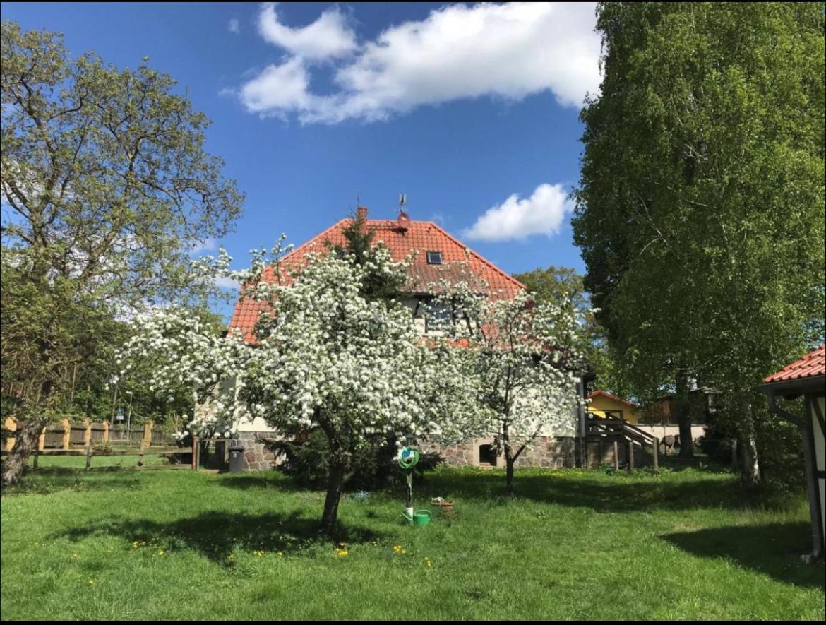 Hof Lillge Leilighet Schorfheide Eksteriør bilde